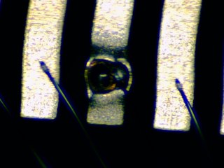 20260506181928941.tif