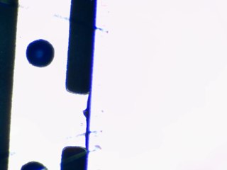 20260506182041076.tif