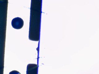 20260506182042056.tif