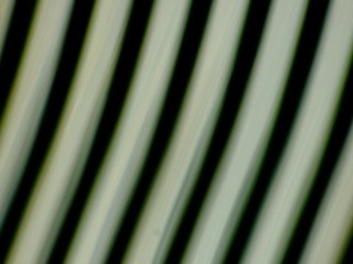 20260506183032861.tif