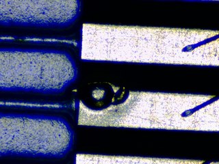 20260506183205053.tif