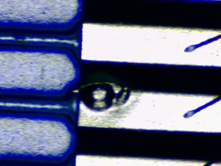 20260506183231098.tif