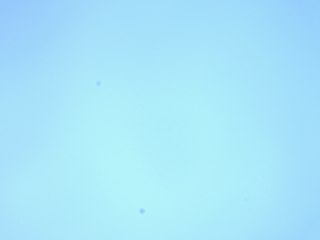 20260506154450221.tif