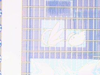 20260506154924157.tif