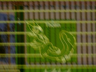 20260506155001201.tif