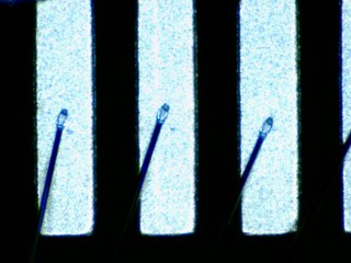 20260506155154677.tif