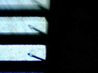 20260506155209700.tif