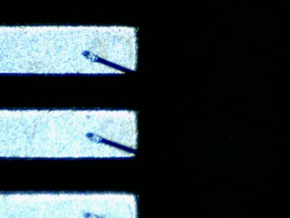 20260506155212681.tif