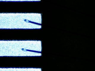 20260506155213684.tif