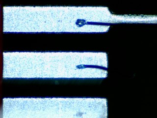 20260506155220684.tif