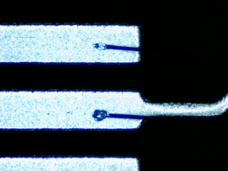 20260506155221693.tif