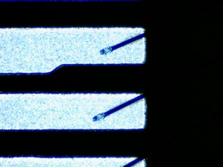 20260506155232676.tif