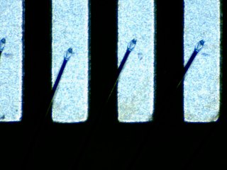 20260506155255685.tif