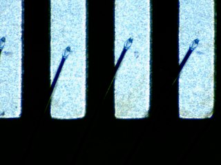 20260506155256686.tif