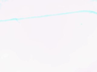 20260506160333148.tif