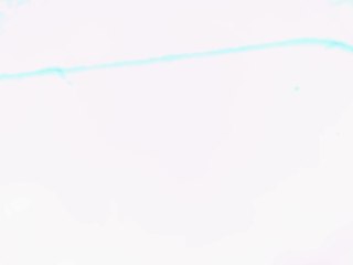 20260506160335161.tif