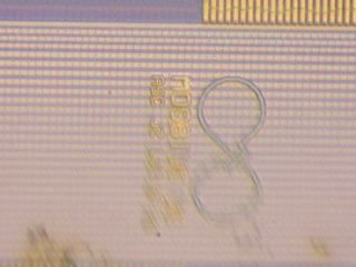 20260506160507827.tif