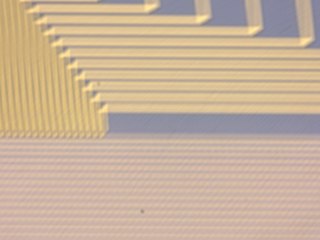 20260506160614341.tif
