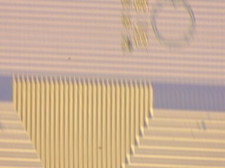 20260506160645347.tif
