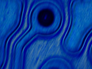 20260506161245542.tif