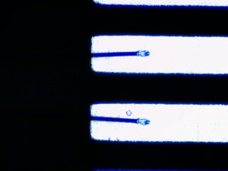 20260506161419076.tif