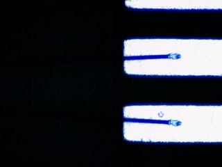 20260506161429090.tif