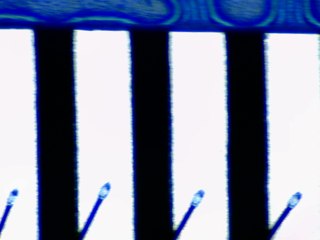 20260506161441096.tif