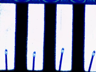 20260506161444094.tif