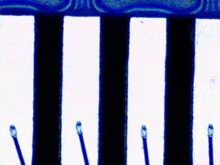 20260506161445123.tif