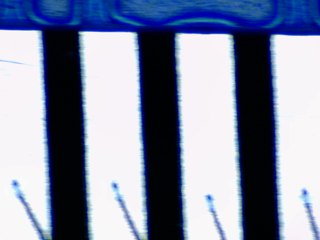 20260506161446112.tif