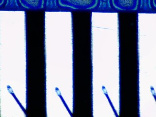20260506161447114.tif