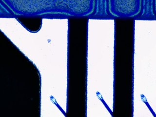 20260506161448126.tif