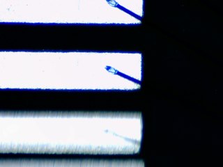 20260506161453136.tif