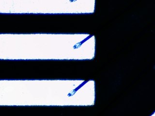 20260506161457147.tif