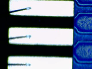 20260506161635564.tif