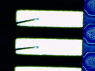 20260506161639564.tif