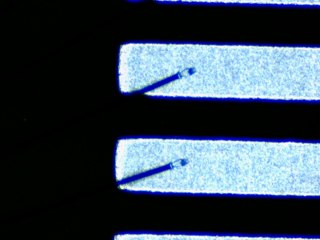 20260506161701647.tif