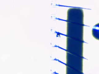 20260506161756674.tif