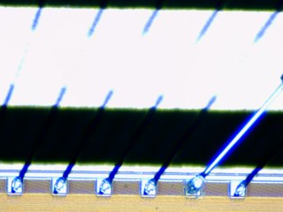 20260506161948808.tif