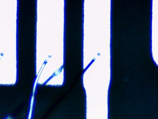 20260506162001832.tif
