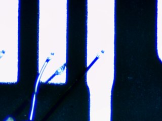 20260506162002853.tif