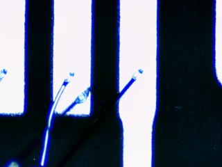 20260506162004844.tif
