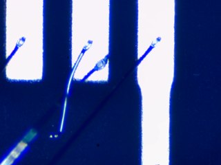 20260506162007836.tif