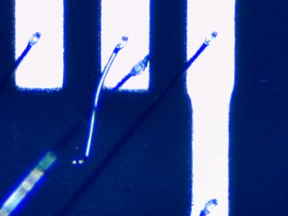20260506162017845.tif