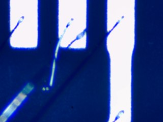 20260506162027831.tif