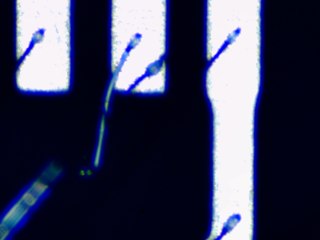 20260506162035840.tif