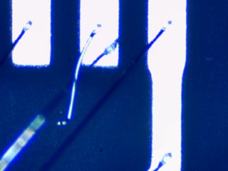 20260506162041832.tif