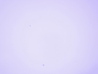 20260506162108878.tif