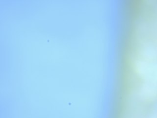 20260506162112911.tif