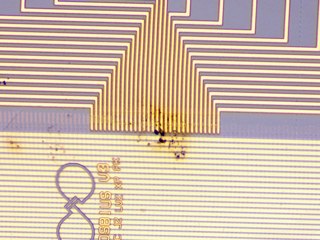 20260506163100293.tif